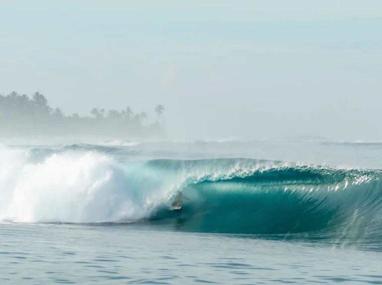 surf Mentawai