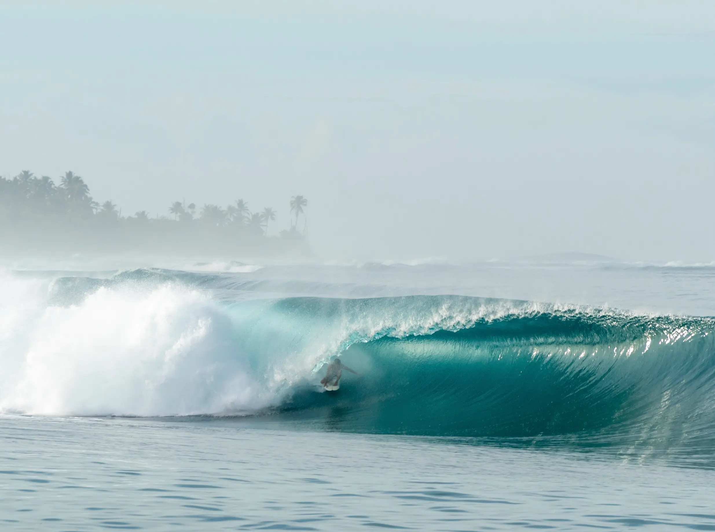 surf Mentawai