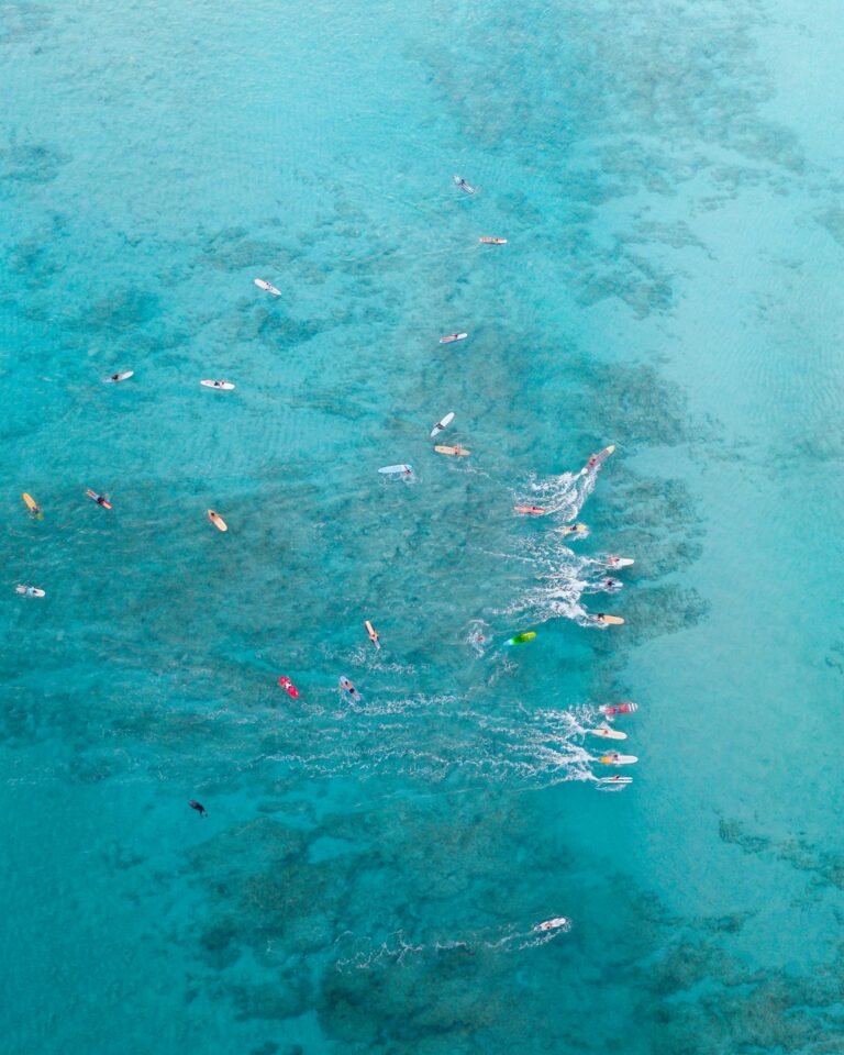 Aerial shot of surfers on turquoise waters at Waikiki Beach, capturing vibrant island life.